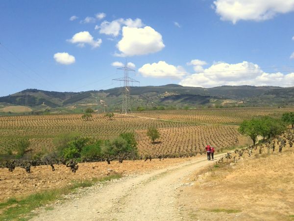 Comment planifier une randonnée sur le Chemin de Saint-Jacques-de-Compostelle depuis l'Espagne : étapes et conseils?