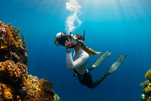 Où trouver les meilleurs spots de plongée en apnée aux Seychelles?