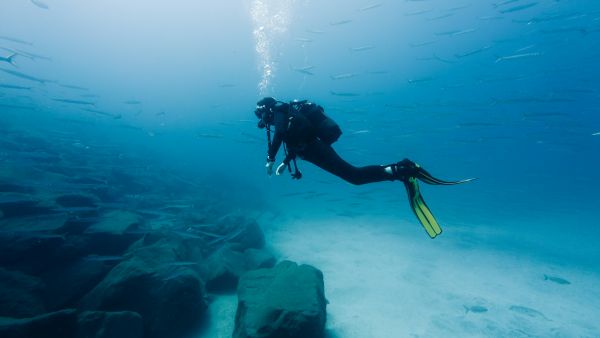 Quels sont les meilleurs spots pour la plongée sous-marine aux îles Fidji ?